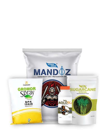 AgroStar AgroStar Agloro (Chlorpyriphos 20% EC) 1 litre - Agrostar