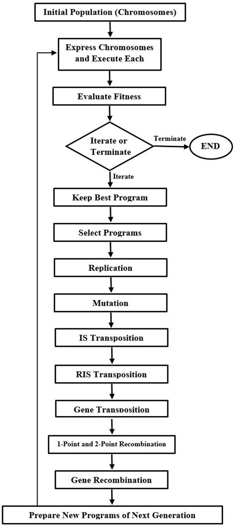 A Gene Expression Programming Model for Predicting Tunnel Convergence