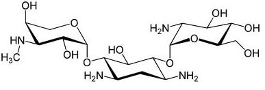 Fig. 1: Chemical structure of gentamicin