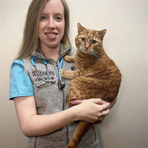 Caregivers – Glenolden Animal Hospital