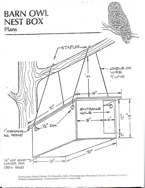 Image result for Homemade Bird Nesting Box Plans