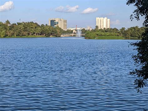 Water cuts, fines: Bengaluru grapples with familiar crisis but few long ...