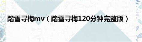 [中国香港][1999][玻璃樽][120分钟完整版][成龙/舒淇/梁朝伟][国粤双语中字][MKV/3.68G]百度云资源 - 港剧天堂