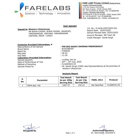 THE BIG DADDY INFERNO PREWORKOUT by BLACK BEAST – BLACKBEAST NUTRITION