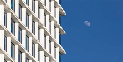 One South First - COOKFOX