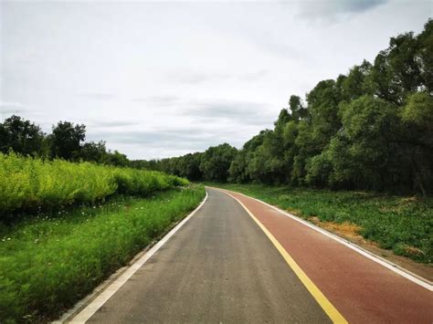 跑步 的图像结果