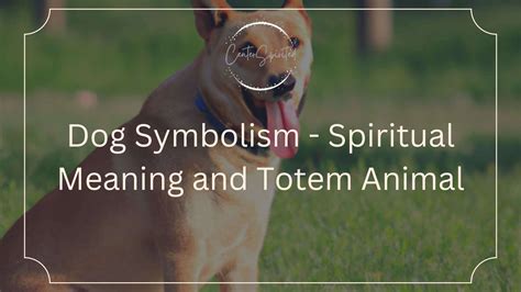 Dog Symbolism - Spiritual Meaning and Totem Animal
