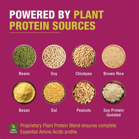 Protein Chef Protein Mix for Atta| Add to Flour for 5.5 g Protein per ...
