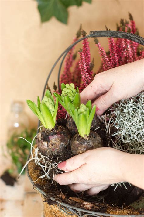 Image result for Lead Nurturing Campaign Examples