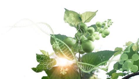 Biotech Lab Design 的图像结果