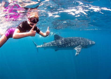 MALDIVES ADVENTURE (2026) All You Need to Know BEFORE You Go (with ...