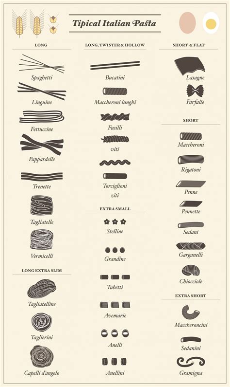 Pasta Shapes and Types Guide