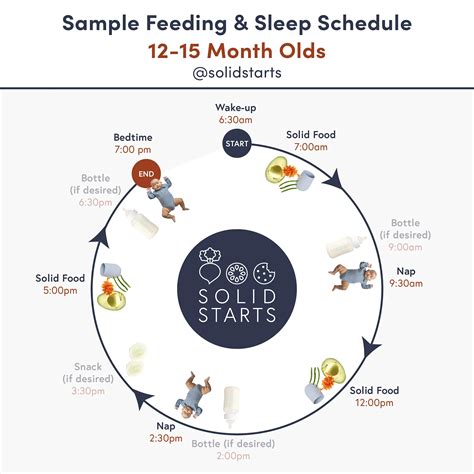 12 to 15 Months Old Feeding Schedule: Ultimate Guide for Healthy Growth ...