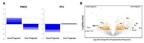 Proteomic Discovery of Biomarkers to Predict Prognosis of High-Grade ...