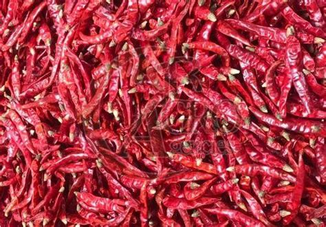 Dry Red Chilli Manufacturer, Supplier from Chennai