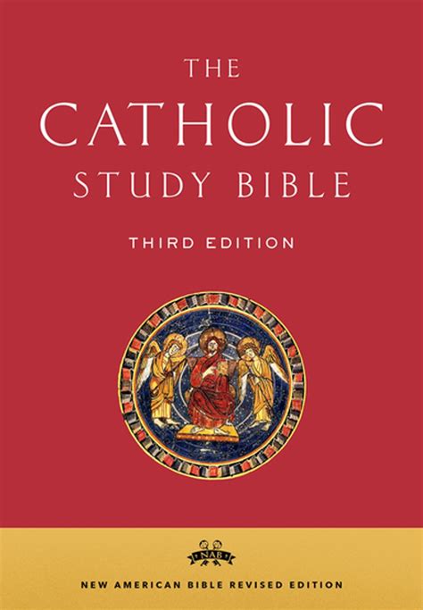 Best Catholic Bible Studies at Beverly Marone blog