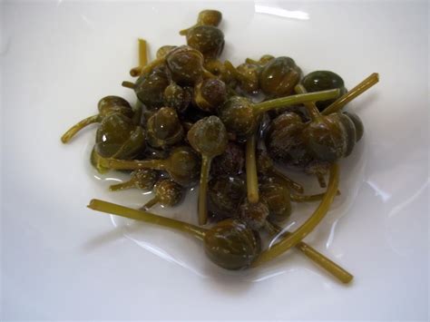 Homemade Pickled Capers, Caper Leaves, and Caper Berries | Penniless Parenting