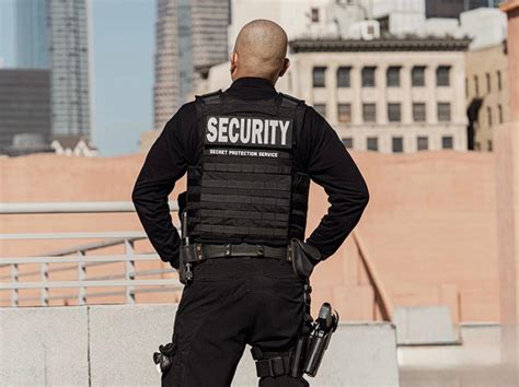 Secret Service Protection 的图像结果