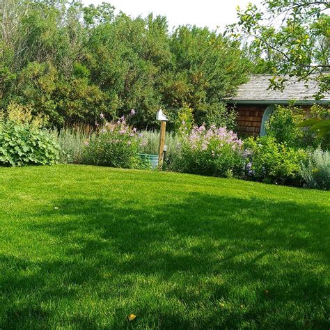 COUTTS CENTRE FOR WESTERN CANADIAN HERITAGE (2026) All You Need to Know ...