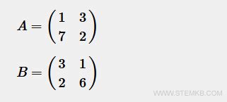 Image result for Primitive Matrix Example