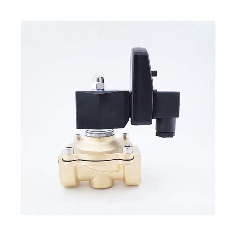 Buy SHENGGLL Solenoid-Valves Solenoid Valve 1inch Electric Drain Timer ...