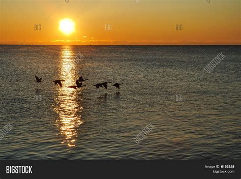 Silhouettes Canadian Image & Photo (Free Trial) | Bigstock