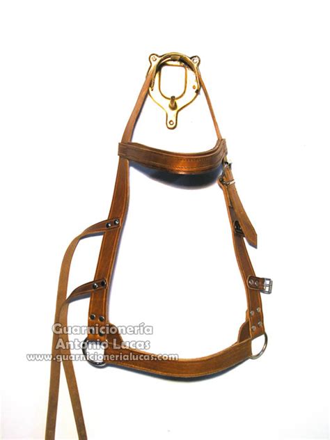 Cabezada Mula Grande Eco – Guarnicionería Antonio Lucas