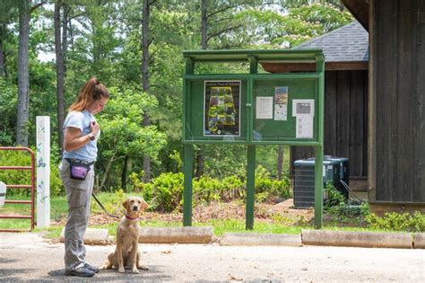 Troy, AL City Guide | About Living in Troy - Homes.com