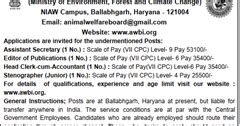 AWBI Recruitment 2018 Steno, Clerk, Editor, Assistant Secretary