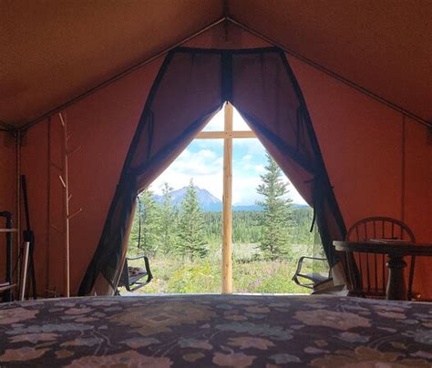 CAMP MCCARTHY (Alaska) - Specialty Resort Reviews & Photos - Tripadvisor