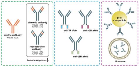 Advances in Antibody-Based Therapeutics for Cerebral Ischemia