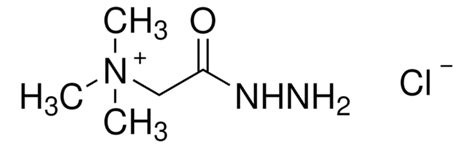 Girard’s reagent T 98 123-46-6