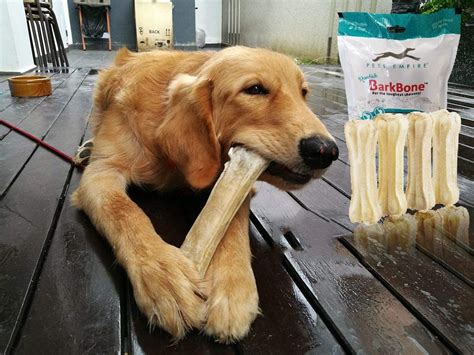 Buy Pets Empire Rawhide Bones for Dogs 8 Inches (4Pcs) | Rawhide ...