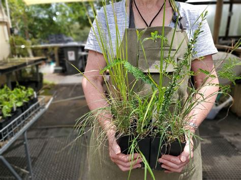 SDCN AGM and Guest Speaker 2025, 271 Mt Morton Rd, Belgrave Heights VIC ...