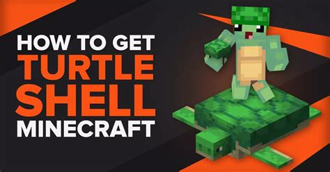Image result for How to Craft a Turtle Shell in Minecraft