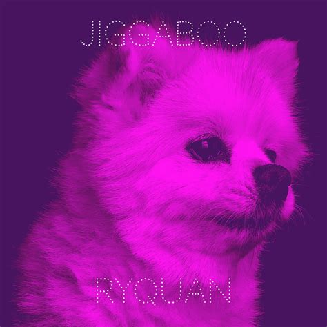 ‎Jiggaboo - Single - Album by RyQuan - Apple Music