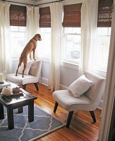 Problem Solvers Window Curtains 的图像结果