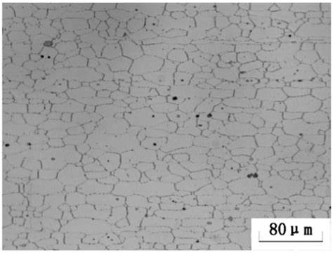 Influence of High Magnetic Field-Thermal Coupling Processing on ...