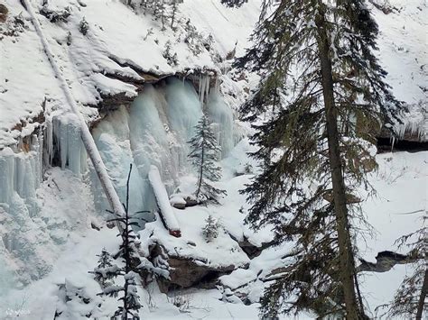 Banff Wildlife Explore and Johnston Canyon Icewalk Tour - Klook India