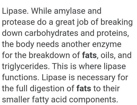 What are the funtions of lipase ? - Brainly.in