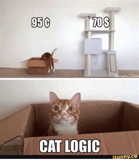 cat logic on Tumblr