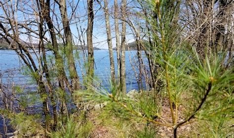 Got cabin fever? Walk the Quabbin Reservoir trails - masslive.com