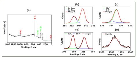 Investigations on Potential Applications of CaMg(CO3)2 Nanoparticles