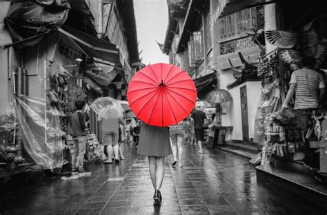 Lens Distortion 的图像结果