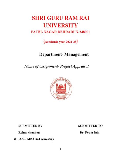 Project Appraisal Example 的图像结果