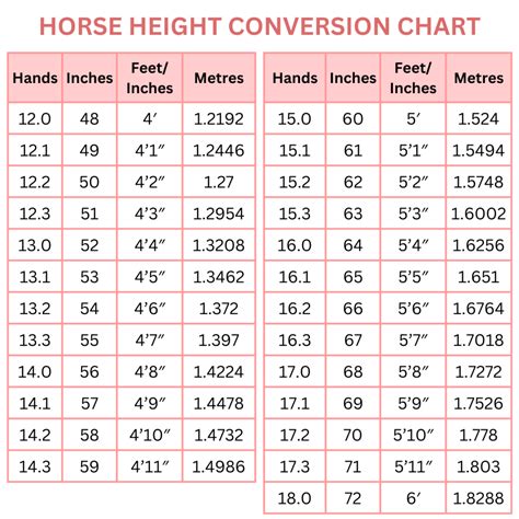 Horse Height Conversion Chart: Hands, Inches, Feet and Meters