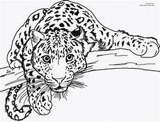 ausmalbilder tiere leopard leopard coloring pages inspirational 44 ausmalbilder tiere ausmalbilder tiere leopard leopard coloring pages inspirational 44 ausmalbilder tiere
