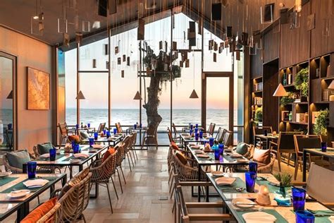 Some of the best food we have had in Thailand - Reviews, Photos - Salt ...