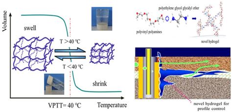 Novel Environmentally Responsive Polyvinyl Polyamine Hydrogels Capable ...
