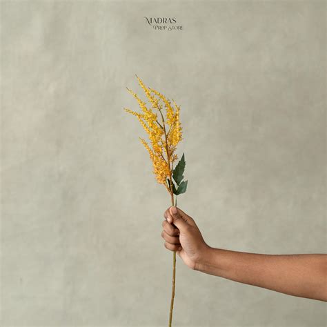 Flowers 008 ( Shipping Extra ) – Madras Prop Store